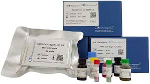 Rapid Test Kits